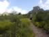 aDSCN6220_edited.jpg (61kb)