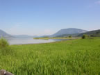 DSCN5663.jpg (68kb)