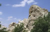 IMG_1180shrp.jpg (105kb)